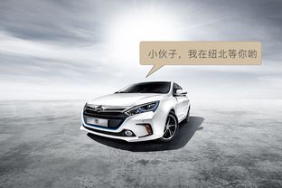 比亚迪汽车容量多少吨重